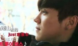 归国四子采访爆料视频全集,幕后故事与心路历程全记录