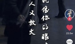 漠河舞厅爆料视频播放,揭秘网红舞厅背后的秘密