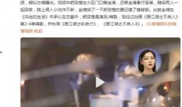 爆料金靖恋情视频,甜蜜互动引网友热议